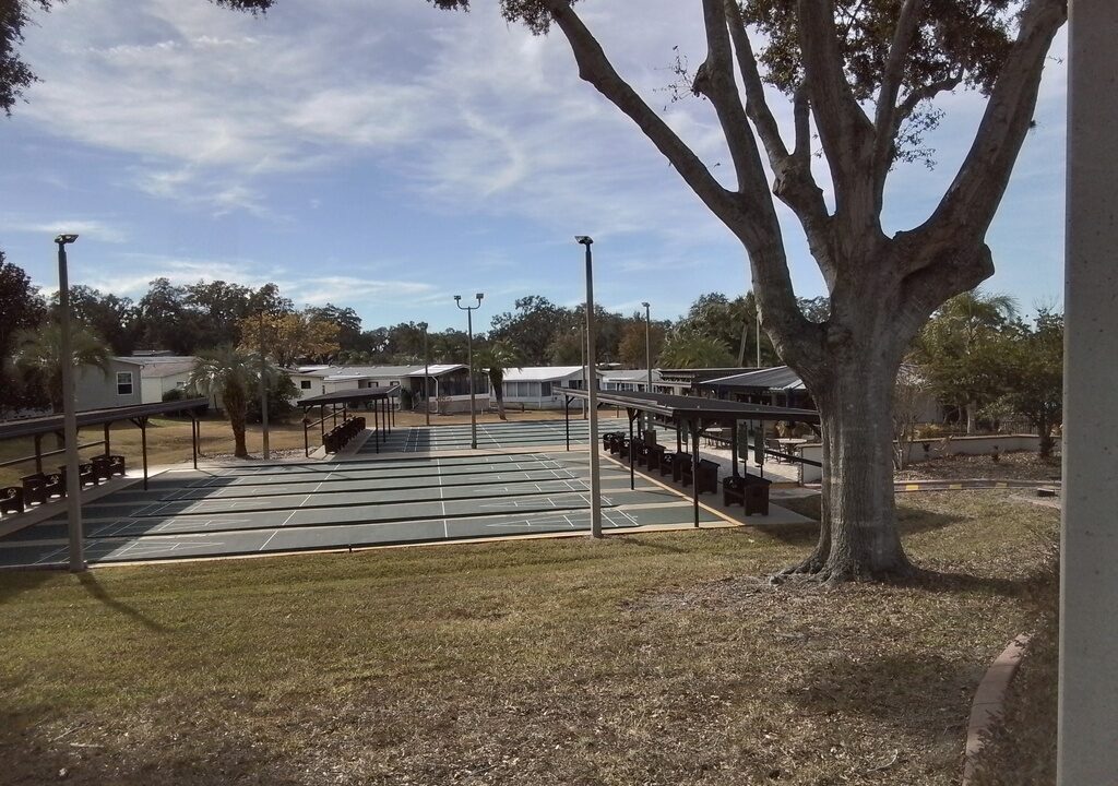 shuffleboard