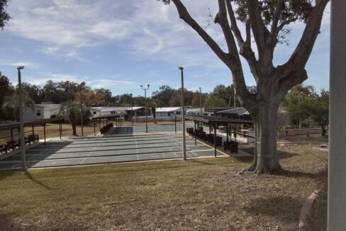 shuffleboard