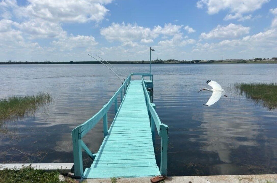 141 Lake Smart - sp06