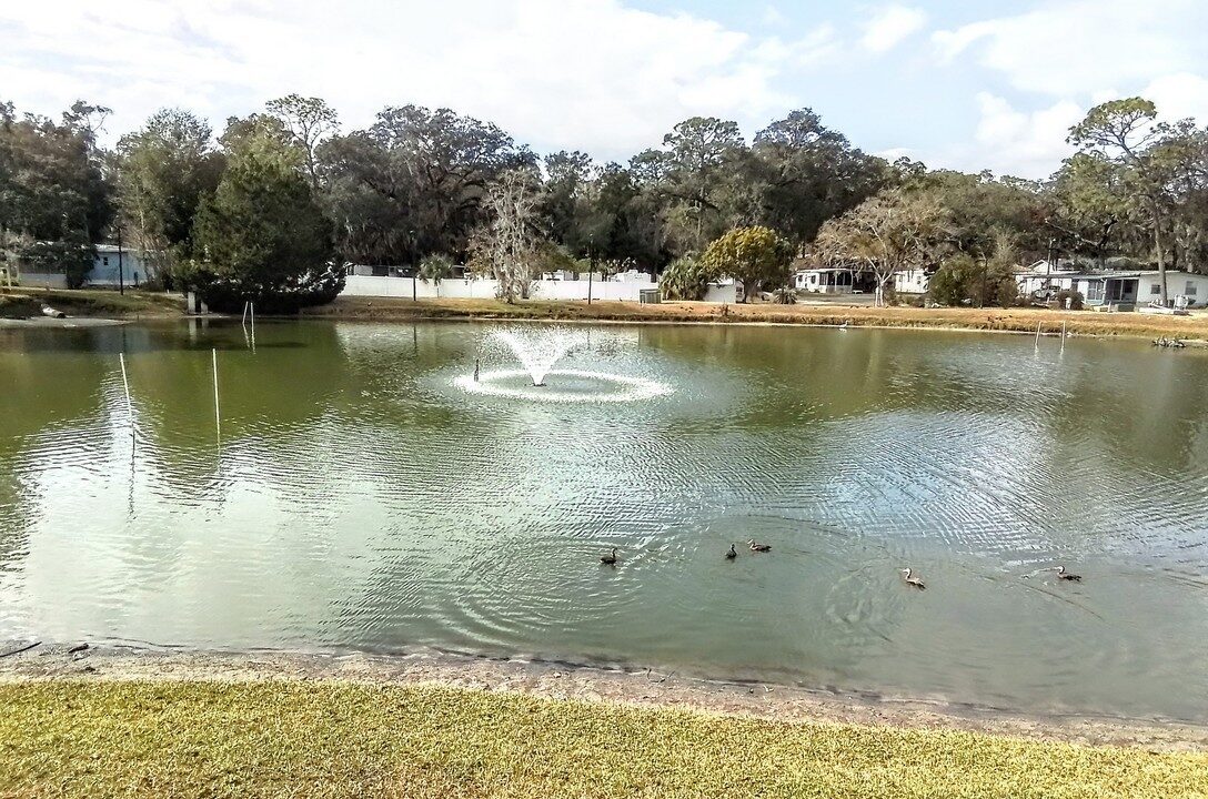 3150 NE 36th Ave lot 515 - sp32