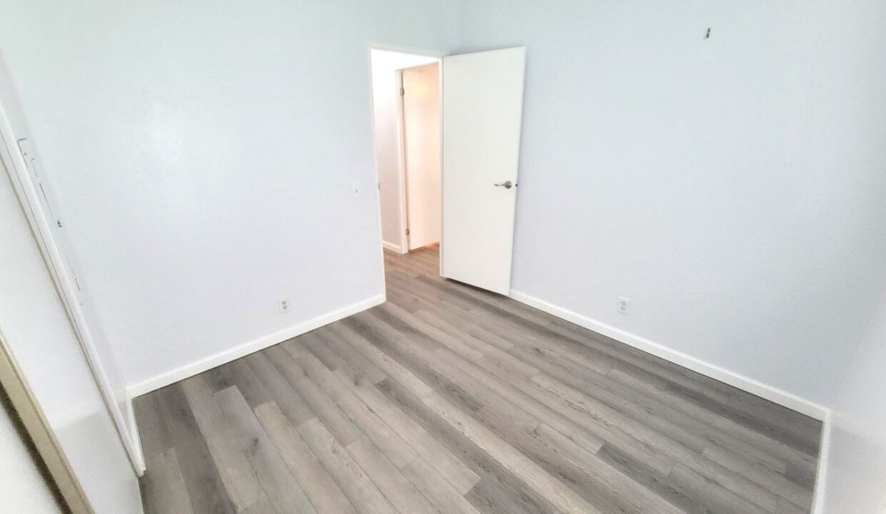 2319 Heron - sp25