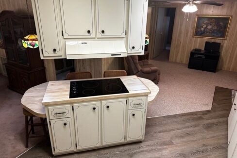 158 Palmetto Drive - sp10