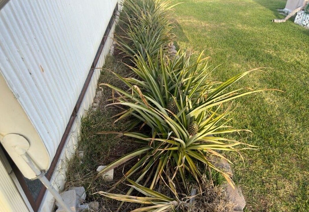 158 Palmetto Drive - sp34