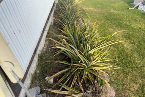 158 Palmetto Drive - sp34