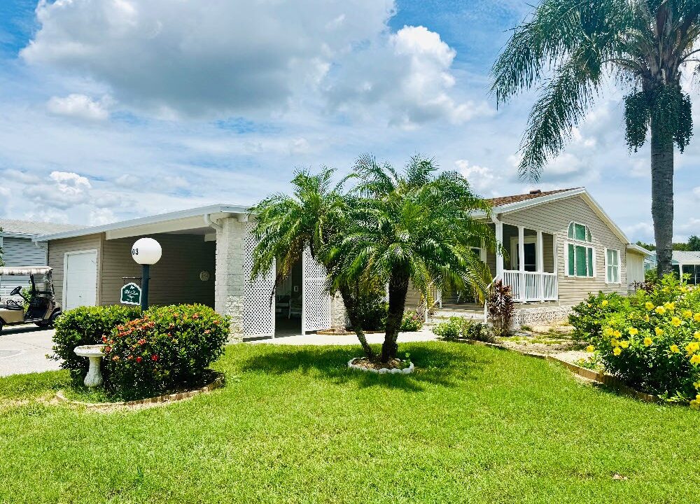 1603 Champion - sp04