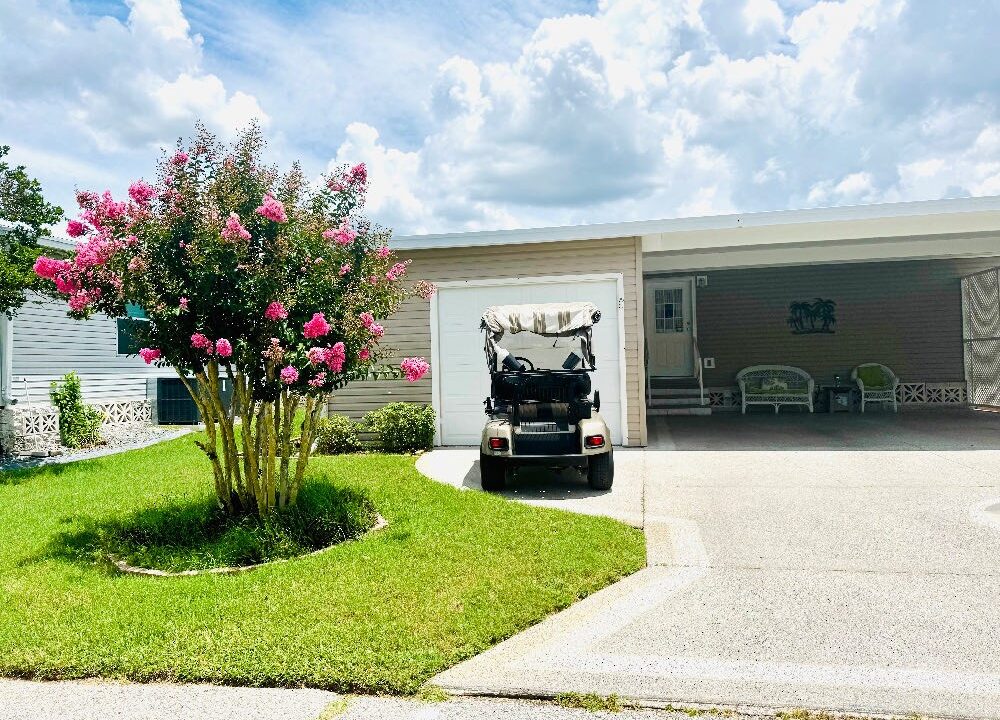 1603 Champion - sp05