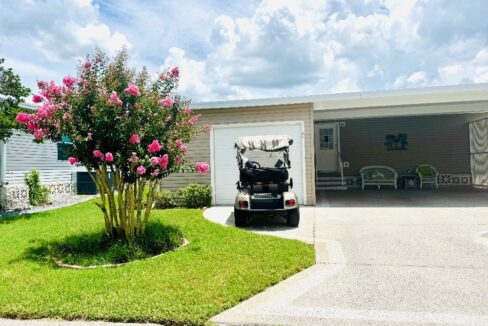 1603 Champion - sp05