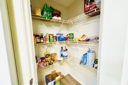 1603 Champion - sp22