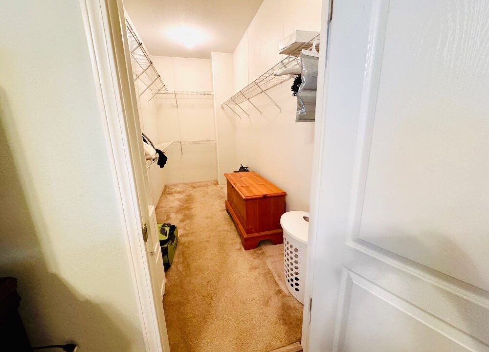 1603 Champion - sp25