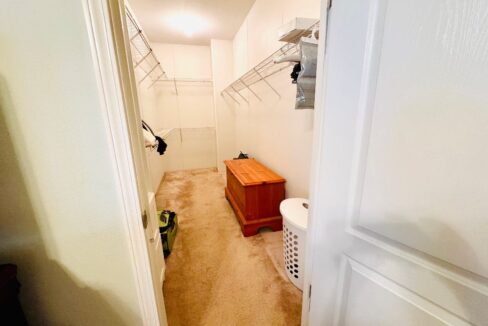 1603 Champion - sp25