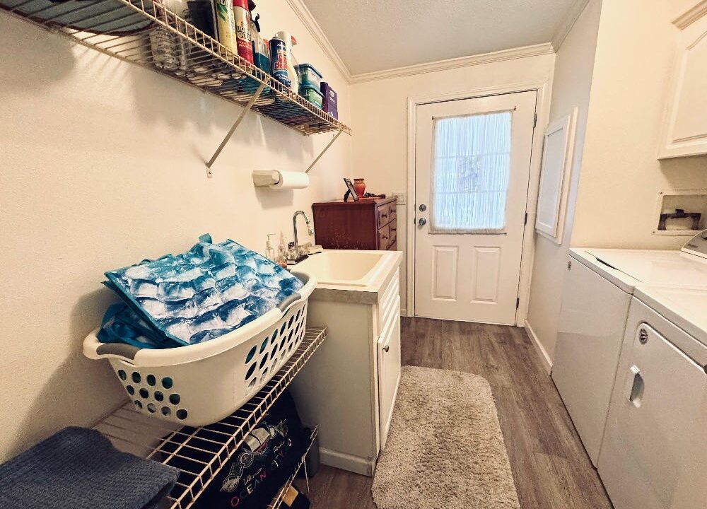 1603 Champion - sp35