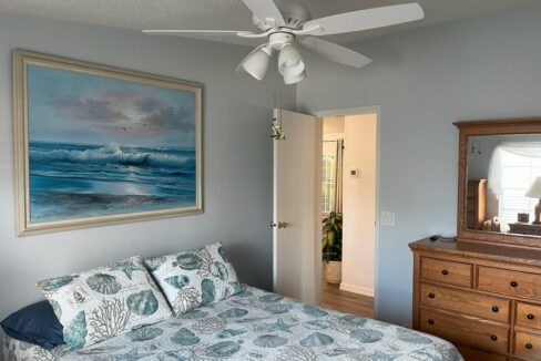 2408 Crooked Stick - sp20