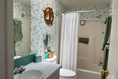 2408 Crooked Stick - sp25