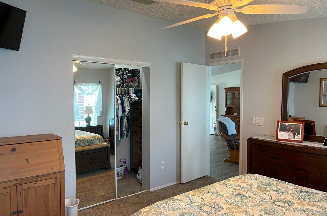 2408 Crooked Stick - sp28