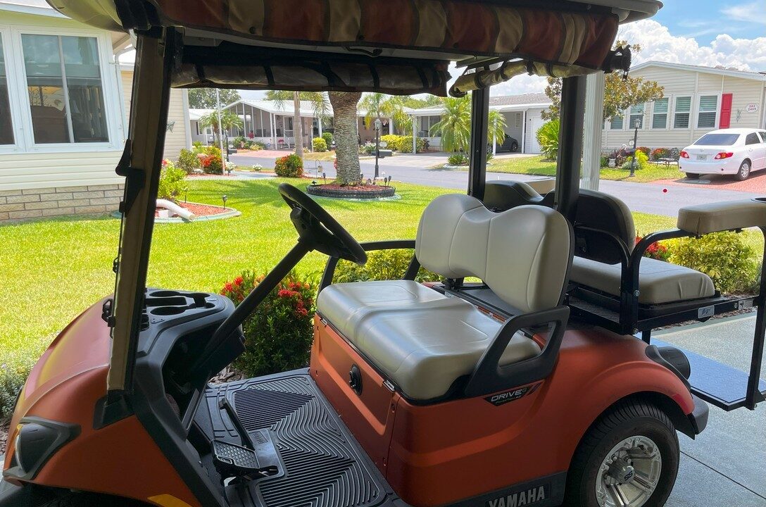 2408 Crooked Stick - sp38