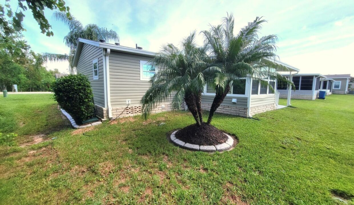 1209 Cypress Vine - sp10