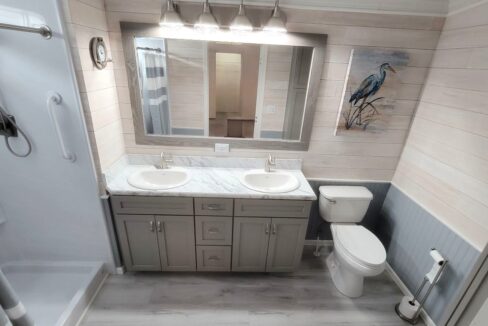 1209 Cypress Vine - sp32