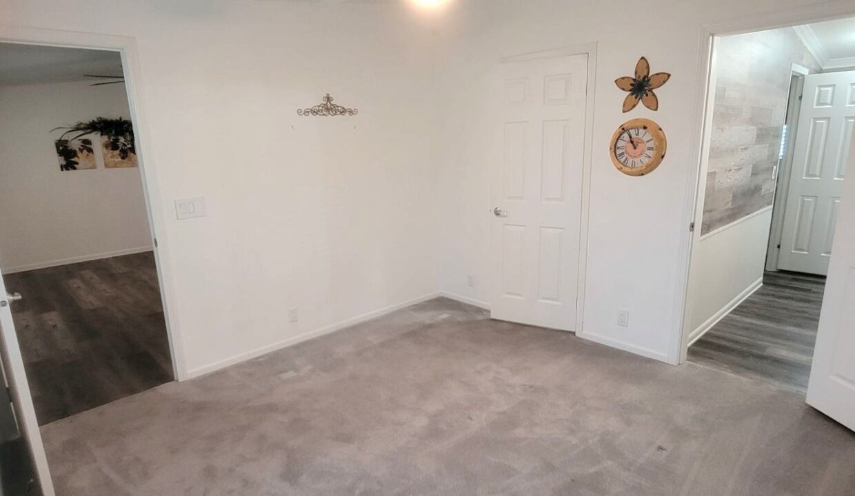 1209 Cypress Vine - sp35