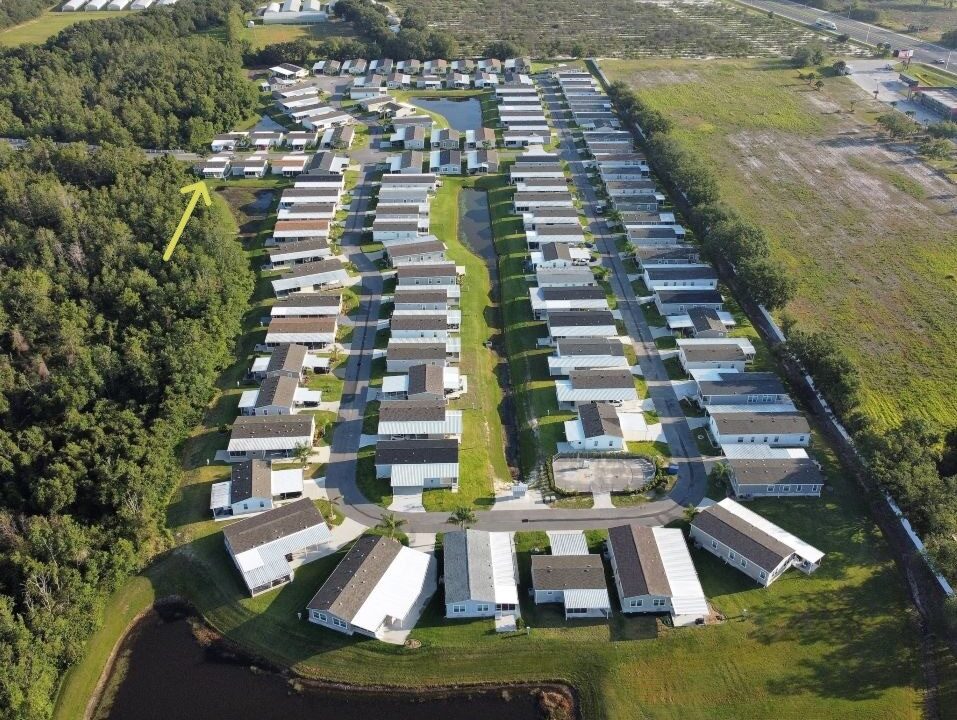 1209 Cypress Vine - sp46