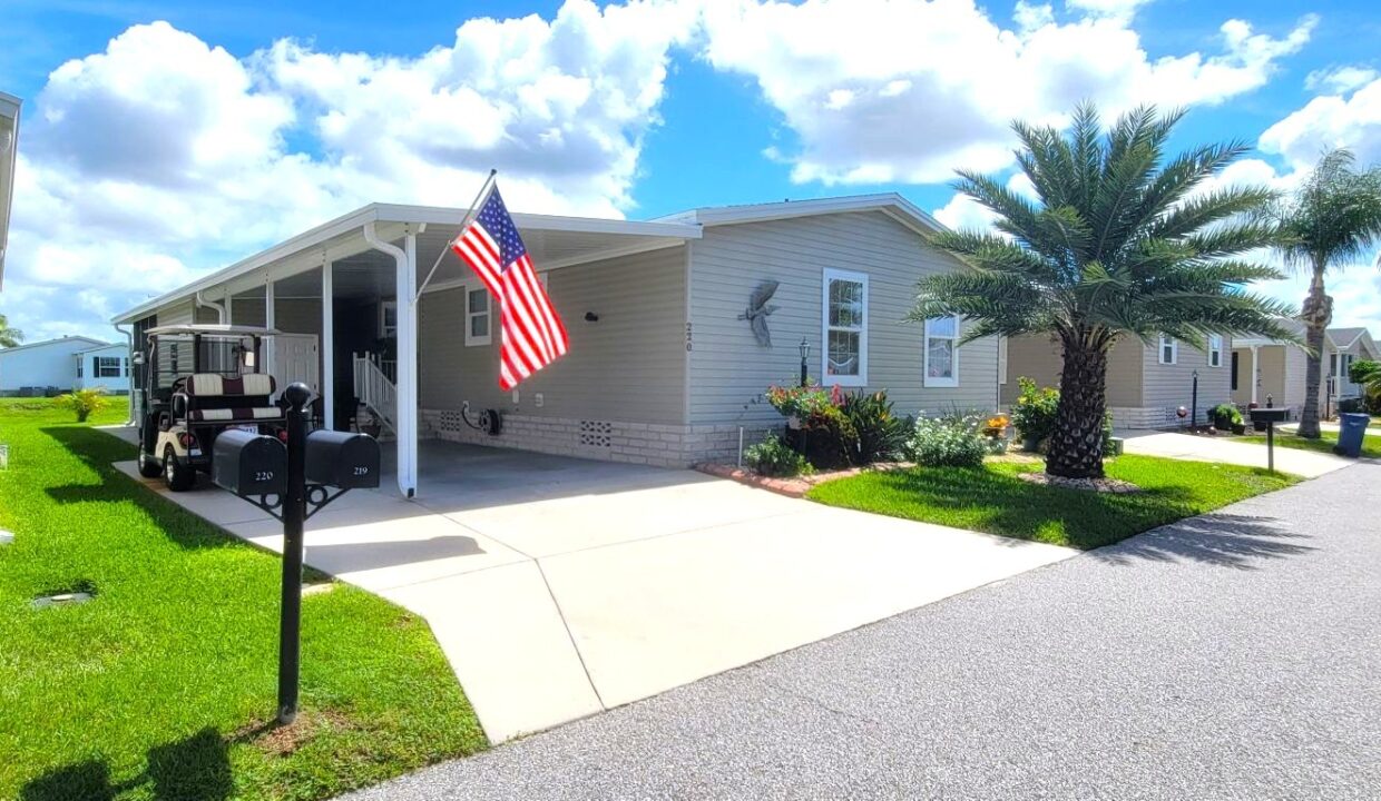 220 Monterey Cypress - sp01