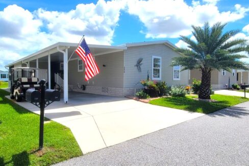 220 Monterey Cypress - sp01