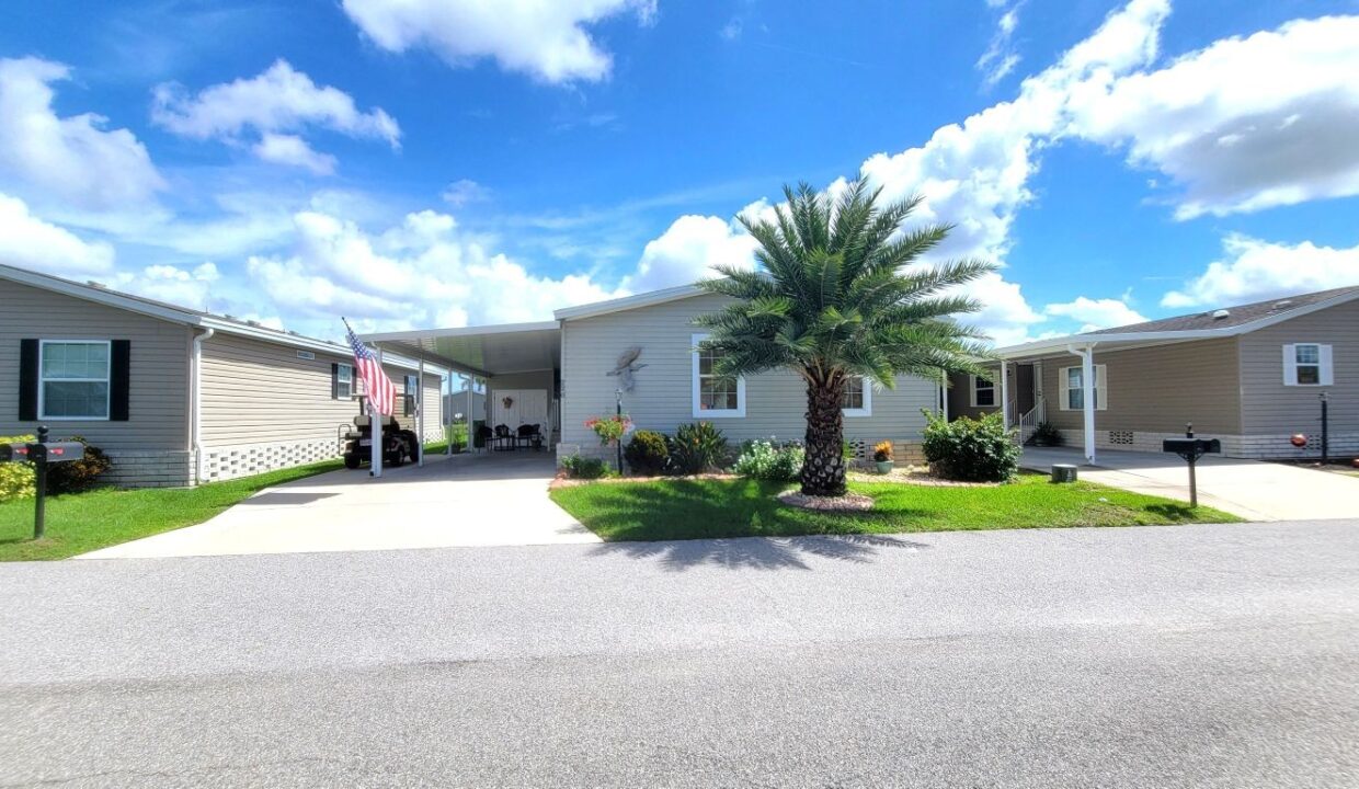 220 Monterey Cypress - sp02