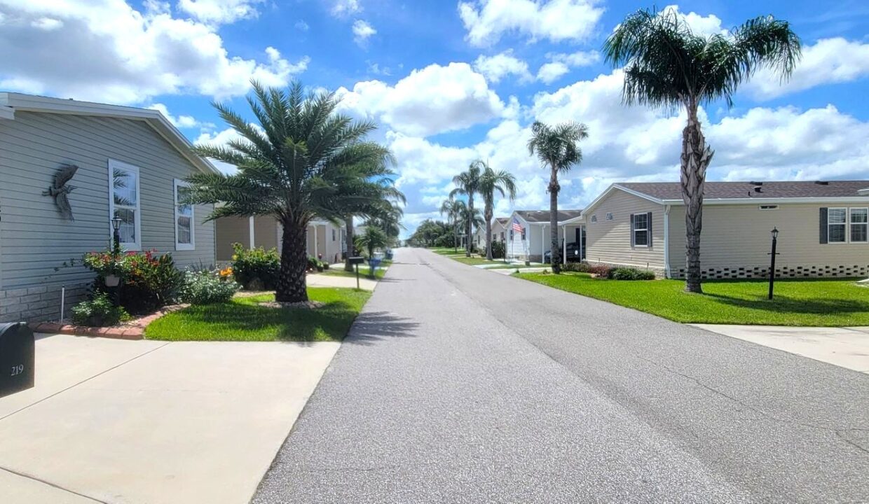 220 Monterey Cypress - sp03