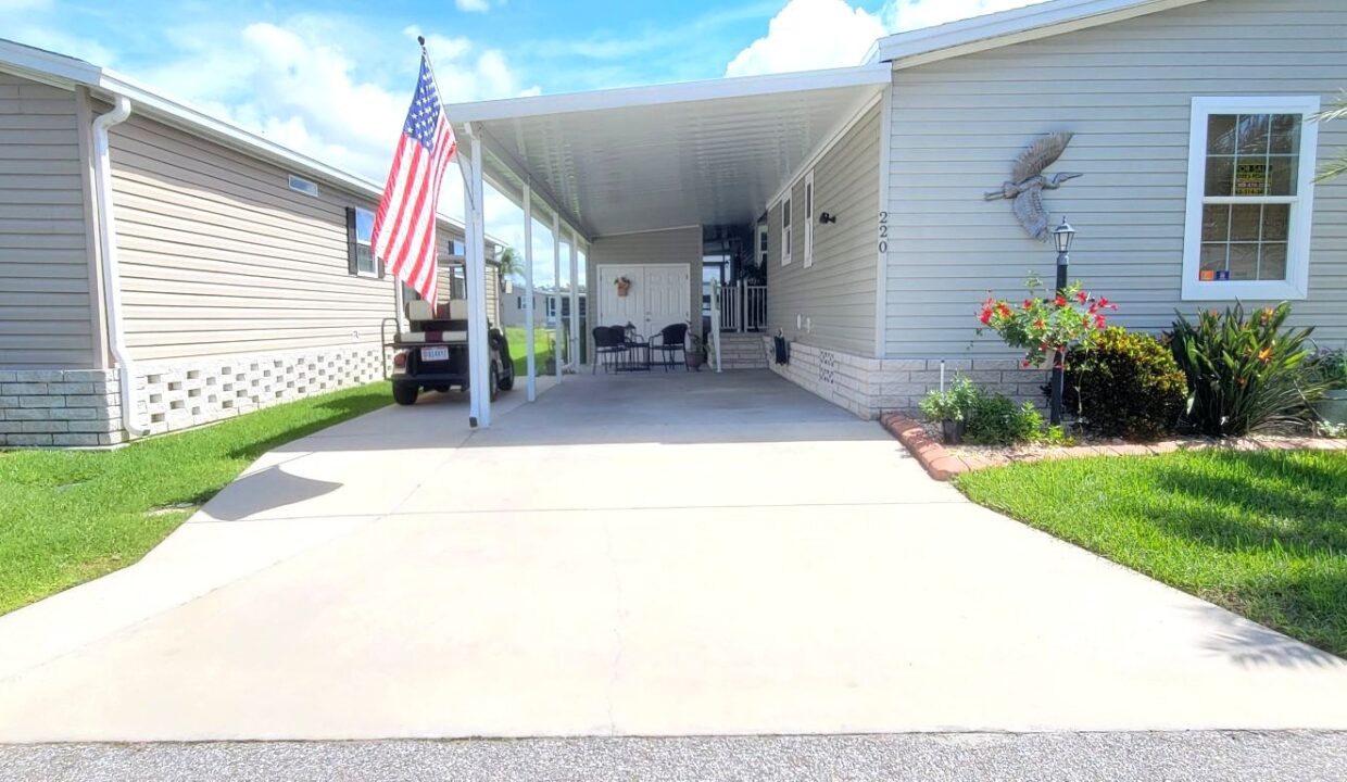 220 Monterey Cypress - sp04