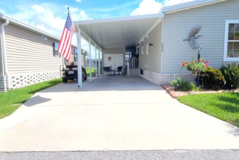 220 Monterey Cypress - sp04