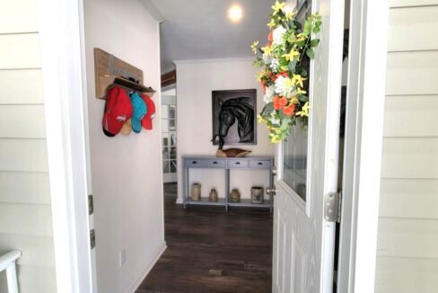 220 Monterey Cypress - sp06