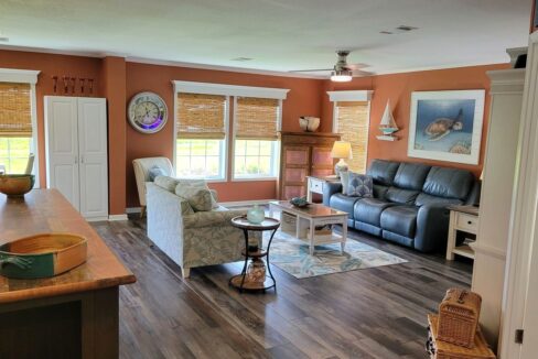 220 Monterey Cypress - sp08