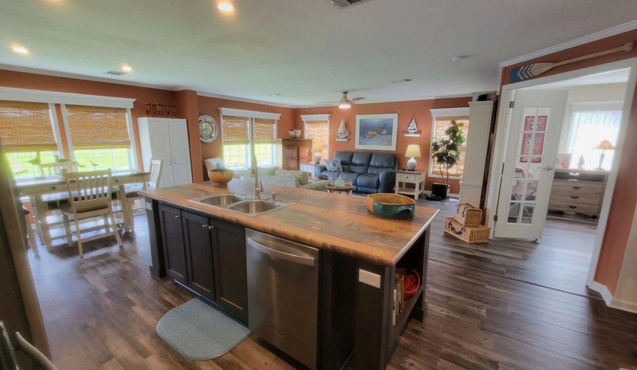 220 Monterey Cypress - sp14