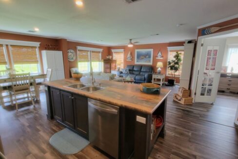 220 Monterey Cypress - sp14