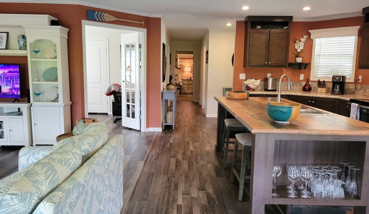 220 Monterey Cypress - sp17