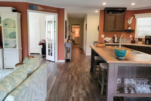 220 Monterey Cypress - sp17