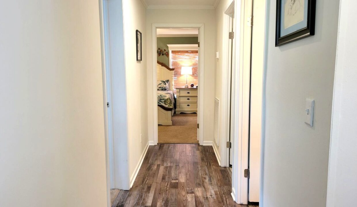 220 Monterey Cypress - sp21