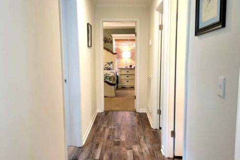 220 Monterey Cypress - sp21