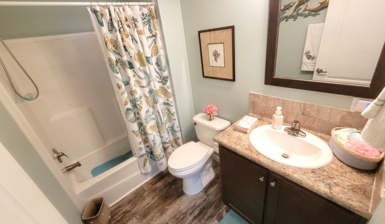 220 Monterey Cypress - sp22