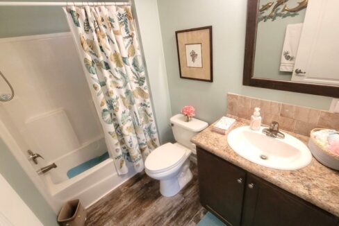 220 Monterey Cypress - sp22