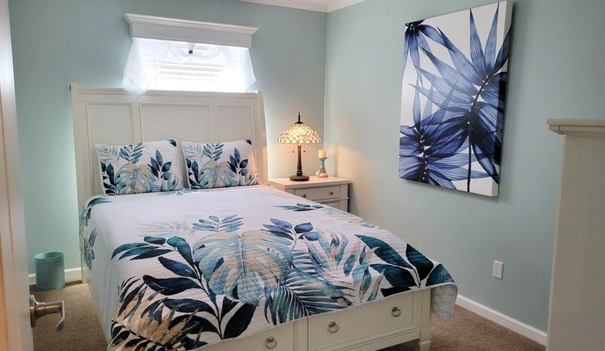 220 Monterey Cypress - sp23