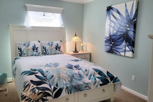 220 Monterey Cypress - sp23