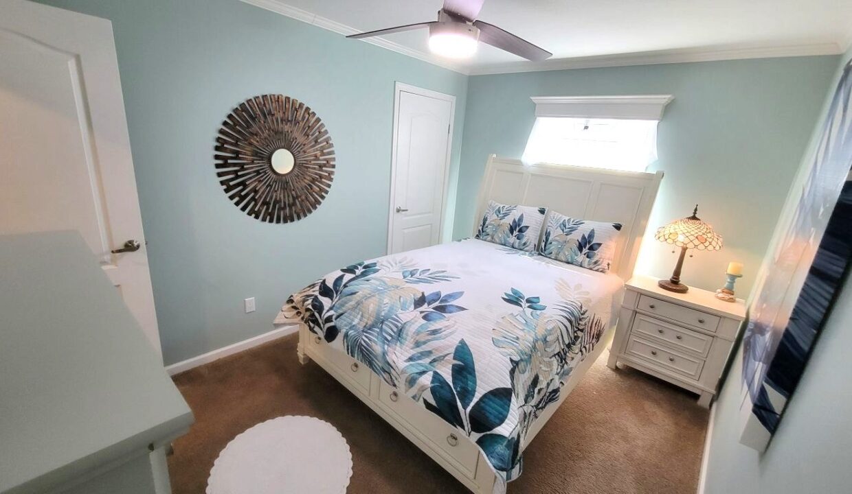 220 Monterey Cypress - sp24