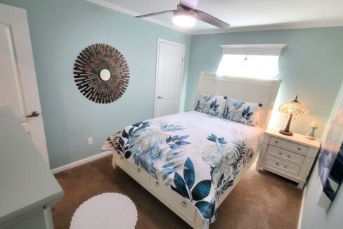 220 Monterey Cypress - sp24