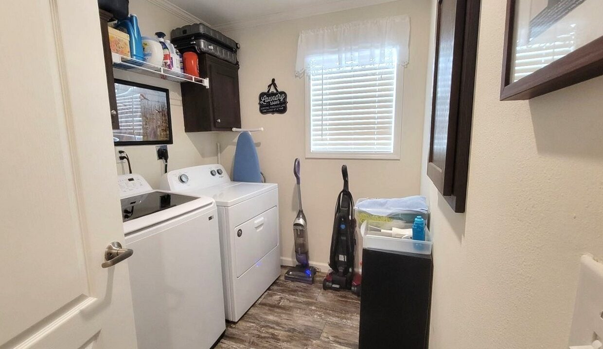 220 Monterey Cypress - sp25