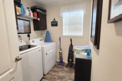 220 Monterey Cypress - sp25