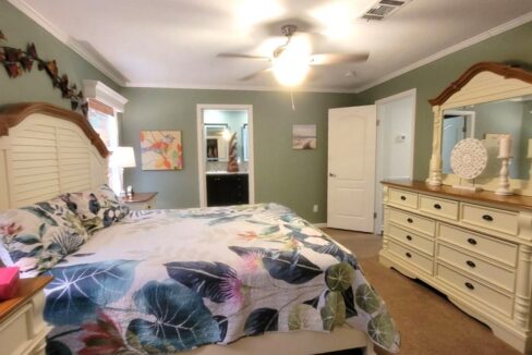 220 Monterey Cypress - sp27