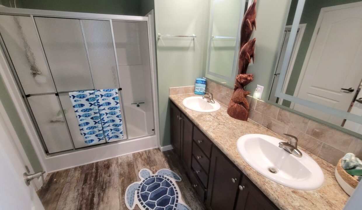 220 Monterey Cypress - sp29