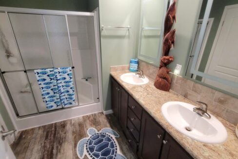 220 Monterey Cypress - sp29