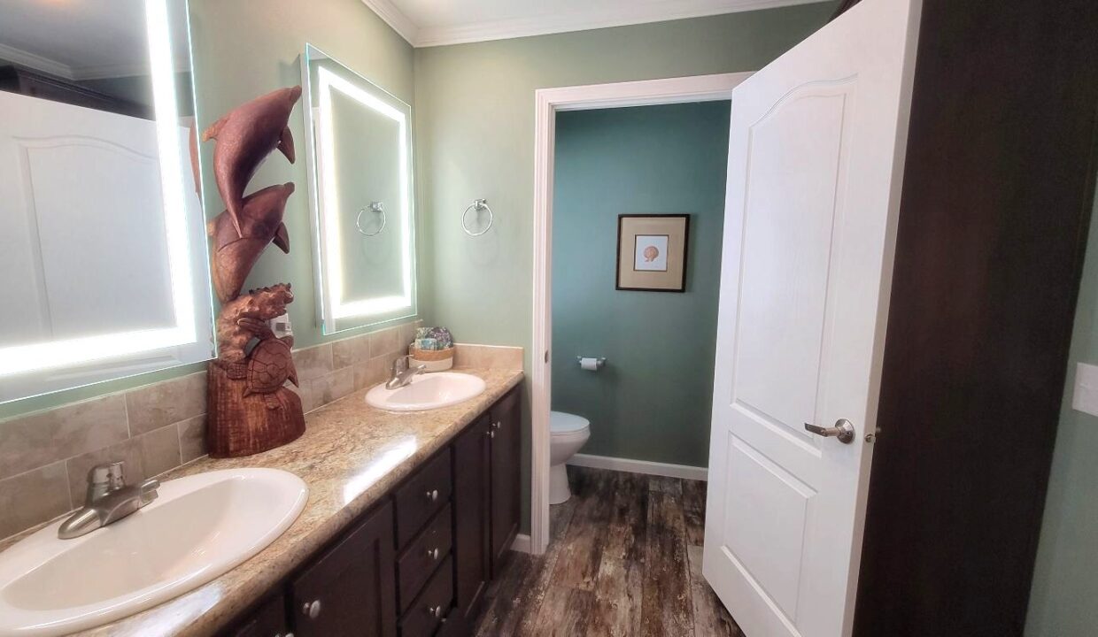 220 Monterey Cypress - sp30