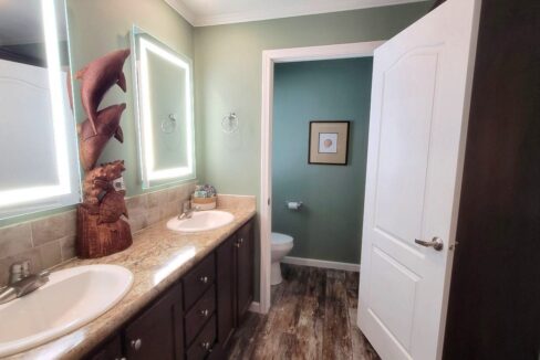 220 Monterey Cypress - sp30